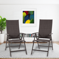 Indoor Seating Set with Dark Gray Chairs
A pair of dark gray folding chairs placed on a striped rug indoors, with a colorful framed picture, bookshelf, and potted plant in the background. Keywords: indoor seating, dark gray chairs, folding chairs