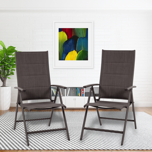 Indoor Seating Set with Dark Gray Chairs
A pair of dark gray folding chairs placed on a striped rug indoors, with a colorful framed picture, bookshelf, and potted plant in the background. Keywords: indoor seating, dark gray chairs, folding chairs