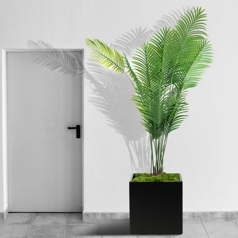 A black cube - shaped metal planter, crafted from steel, holding a tall, lush palm - like plant. Ideal for both indoor and outdoor use, it adds a touch of greenery and modern elegance to any space. Black Cube Metal Planter for Indoor and Outdoor Greenery. Cube metal planter, steel planter box, black steel flower pot