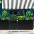 Three black metal rectangular planter boxes in front of a shop, filled with lush green plants. These sturdy steel planters enhance the outdoor aesthetic, ideal for commercial or residential use. Black Metal Rectangular Planter Boxes for Outdoor Display. Metal planter box, rectangular, steel, outdoor plants.