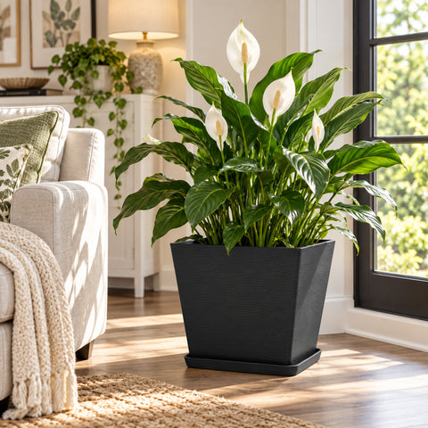Kozyard large square planter with matching saucer features a modern textured finish and spacious design for peace lilies, houseplants, flowers and greenery. This decorative indoor outdoor plant pot offers a clean contemporary look for medium to large plants, making it a stylish square flower pot for living room, entryway, office, patio, porch, balcony, garden and modern home decor.