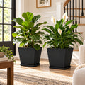Kozyard square planters with matching saucers create a modern indoor display for peace lilies, hydrangeas, houseplants and flowering plants. Designed for medium to large plants, these decorative indoor outdoor plant pots feature a contemporary textured surface and versatile square shape, ideal for living rooms, offices, entryways, patios, porches, balconies, gardens and stylish home decor.