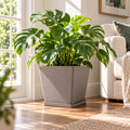 Kozyard large square planter with matching saucer features a modern textured finish and spacious design for peace lilies, houseplants, flowers and greenery. This decorative indoor outdoor plant pot offers a clean contemporary look for medium to large plants, making it a stylish square flower pot for living room, entryway, office, patio, porch, balcony, garden and modern home decor.