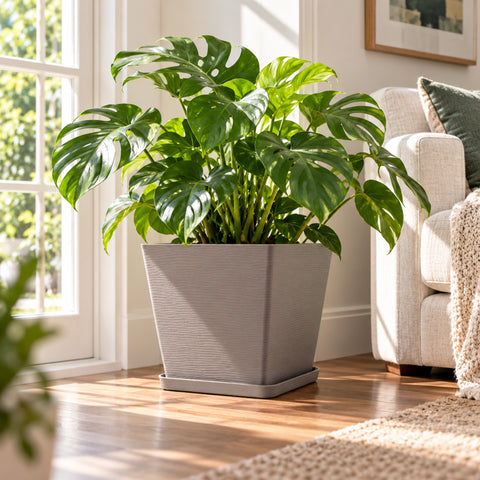 Kozyard large square planter with matching saucer features a modern textured finish and spacious design for peace lilies, houseplants, flowers and greenery. This decorative indoor outdoor plant pot offers a clean contemporary look for medium to large plants, making it a stylish square flower pot for living room, entryway, office, patio, porch, balcony, garden and modern home decor.