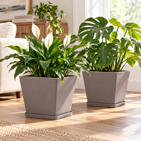 Kozyard square planters with matching saucers create a modern indoor display for peace lilies, hydrangeas, houseplants and flowering plants. Designed for medium to large plants, these decorative indoor outdoor plant pots feature a contemporary textured surface and versatile square shape, ideal for living rooms, offices, entryways, patios, porches, balconies, gardens and stylish home decor.