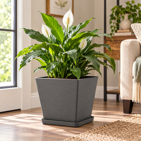 Kozyard large square planter with matching saucer features a modern textured finish and spacious design for peace lilies, houseplants, flowers and greenery. This decorative indoor outdoor plant pot offers a clean contemporary look for medium to large plants, making it a stylish square flower pot for living room, entryway, office, patio, porch, balcony, garden and modern home decor.