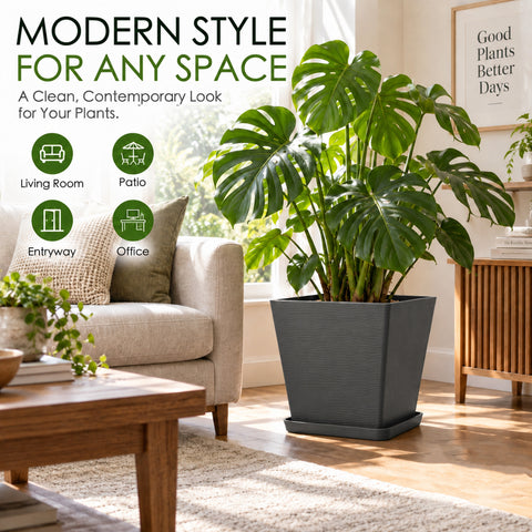 Kozyard modern square planter with matching saucer creates a clean contemporary look for large houseplants and tropical plants such as Monstera. This decorative indoor outdoor plant pot features a stylish textured finish and spacious design for medium to large plants, making it ideal for living room, office, entryway, patio, porch, balcony, garden and modern home decor.