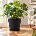 Kozyard large black planter with matching saucer featuring a modern textured finish, displayed indoors with a lush Monstera plant. This stylish indoor outdoor plant pot is designed for medium to large houseplants, flowers and greenery, making it an attractive decorative planter for living rooms, entryways, patios, porches, offices, gardens and contemporary home decor.