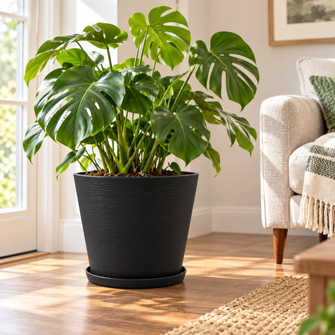 Kozyard large black planter with matching saucer featuring a modern textured finish, displayed indoors with a lush Monstera plant. This stylish indoor outdoor plant pot is designed for medium to large houseplants, flowers and greenery, making it an attractive decorative planter for living rooms, entryways, patios, porches, offices, gardens and contemporary home decor.