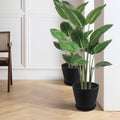 In a stylish indoor setting with white paneled walls and light - colored herringbone flooring, two black plastic plant pots with attached saucers hold lush, green tropical plants. A wooden chair with a woven seat is also visible, adding to the cozy and elegant ambiance. Black Plastic Plant Pots: Enhance Your Indoor Greenery.black plastic plant pots, indoor planters, plant pots with saucers, tropical plants in pots, stylish planters.