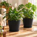 Kozyard black indoor planters with matching saucers showcase Monstera and peace lily plants in a bright modern living room. These large decorative plant pots feature a contemporary textured design ideal for medium to large houseplants, tropical plants, flowers and greenery. Stylish indoor outdoor planters complement living rooms, patios, entryways, offices, porches and modern home decor.