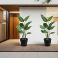 In a modern, minimalist - styled interior with wooden elements and neutral tones, two black plastic plant pots with attached saucers hold vibrant green tropical plants. The pots add a touch of contemporary elegance to the space, complementing the overall aesthetic with their sleek design.Black Plastic Plant Pots: Modern Style for Indoor Greenery. black plastic plant pots, indoor planters, modern plant pots, plant pots with saucers, contemporary planters
