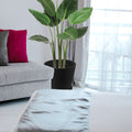In a cozy living room setting, a sleek black plastic plant pot holds a lush, green tropical plant. The pot is placed beside a light - colored sofa adorned with a red and a gray cushion, near a window with sheer curtains, creating a warm and inviting indoor atmosphere.Black Plastic Plant Pot: Elevate Your Indoor Living Space. black plastic plant pot, indoor planter, living room decor, tropical plant pot, home decor planter
