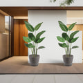 In a modern, minimalist - styled interior with wooden elements and neutral tones, two brown plastic plant pots with attached saucers hold vibrant green tropical plants. The pots add a touch of contemporary elegance to the space, complementing the overall aesthetic with their sleek design.Brown Plastic Plant Pots: Modern Style for Indoor Greenery. brown plastic plant pots, indoor planters, modern plant pots, plant pots with saucers, contemporary planters
