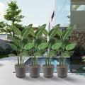 In an elegant outdoor setting featuring a modern building, a swimming pool, and lush greenery, four brown plastic plant pots with attached saucers hold vibrant tropical plants. The pots add a touch of sophistication and greenery to the upscale outdoor space.Brown Plastic Plant Pots: Upgrade Your Outdoor Oasis. brown plastic plant pots, outdoor planters, plant pots with saucers, tropical plants in pots, upscale outdoor decor.
