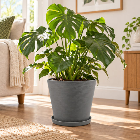 Kozyard planter with matching saucer featuring a modern textured finish, displayed indoors with a lush Monstera plant. This stylish indoor outdoor plant pot is designed for medium to large houseplants, flowers and greenery, making it an attractive decorative planter for living rooms, entryways, patios, porches, offices, gardens and contemporary home decor.