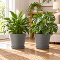 Kozyard indoor planters with matching saucers showcase Monstera and peace lily plants in a bright modern living room. These large decorative plant pots feature a contemporary textured design ideal for medium to large houseplants, tropical plants, flowers and greenery. Stylish indoor outdoor planters complement living rooms, patios, entryways, offices, porches and modern home decor.