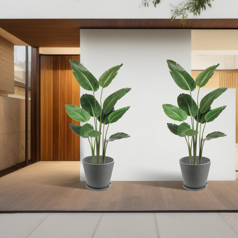 In a modern, minimalist - styled interior with wooden elements and neutral tones, two gray plastic plant pots with attached saucers hold vibrant green tropical plants. The pots add a touch of contemporary elegance to the space, complementing the overall aesthetic with their sleek design.Gray Plastic Plant Pots: Modern Style for Indoor Greenery. gray plastic plant pots, indoor planters, modern plant pots, plant pots with saucers, contemporary planters
