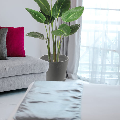 In a cozy living room setting, a sleek gray plastic plant pot holds a lush, green tropical plant. The pot is placed beside a light - colored sofa adorned with a red and a gray cushion, near a window with sheer curtains, creating a warm and inviting indoor atmosphere.Gray Plastic Plant Pot: Elevate Your Indoor Living Space. Gray plastic plant pot, indoor planter, living room decor, tropical plant pot, home decor planter