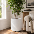 Kozyard white ribbed planter displayed indoors with a tall green houseplant beside a bright window and cream sofa. This modern large indoor outdoor plant pot features a clean cylindrical fluted design, crisp white finish and sturdy raised base, creating an elegant decorative planter for living rooms, offices, patios, entryways, bedrooms and contemporary home garden decor for indoor plant styling.