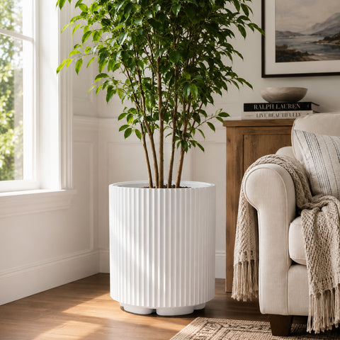 Kozyard white ribbed planter displayed indoors with a tall green houseplant beside a bright window and cream sofa. This modern large indoor outdoor plant pot features a clean cylindrical fluted design, crisp white finish and sturdy raised base, creating an elegant decorative planter for living rooms, offices, patios, entryways, bedrooms and contemporary home garden decor for indoor plant styling.