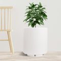 A sleek white plastic planter pot with vertical ribbed texture holds a lush green plant. The planter is placed on a light - toned wooden floor next to a simple, light - colored wooden chair, set against a plain white background. The combination of the modern - looking pot and the natural greenery creates a stylish and minimalist indoor scene. Modern White Plastic Planter Pot: Stylish Indoor Greenery.white plastic planter, ribbed planter pot, indoor plant pot, modern planter, minimalist planter.