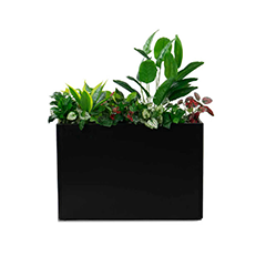 Awning & Planter