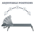 Title: Adjustable Grey Lounge Chair with Multiple Positions
Alt Text: Grey lounge chair with cushioned headrest, showing five adjustable positions labeled 1 to 5, with text "ADJUSTABLE POSITIONS" above.
Keywords: adjustable lounge chair, grey outdoor furniture, multiple positions, cushioned headrest, patio seating, modern design, poolside comfort